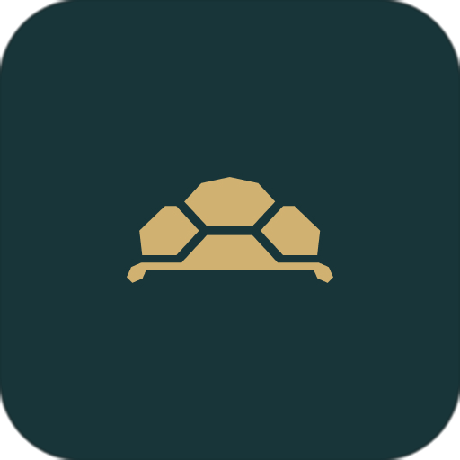 Turtley Wok 龜速上菜